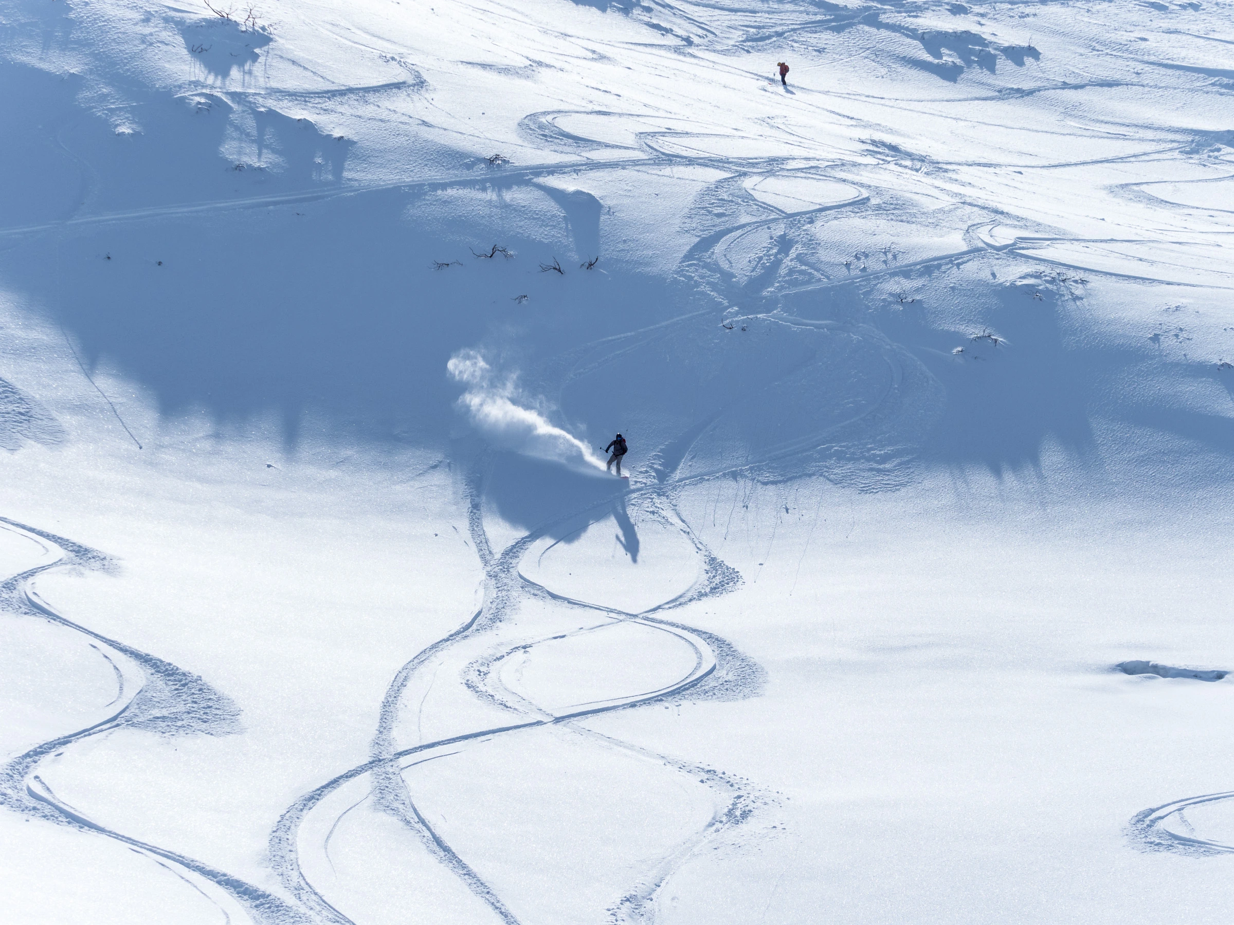北海道粉雪中的滑雪者